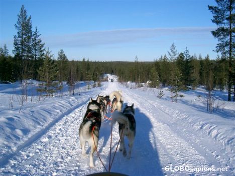 Postcard Polar Circle