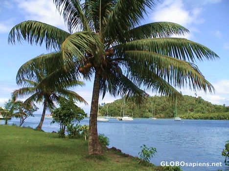 Tropical Savusavu Bay