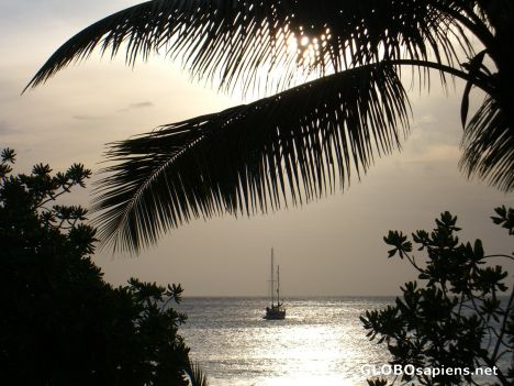 Postcard waya island sunset