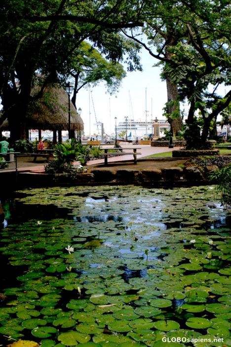Postcard Papeete - Tahiti - Bougainville Square
