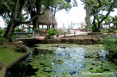 Postcard Papeete - Tahiti - Bougainville Square
