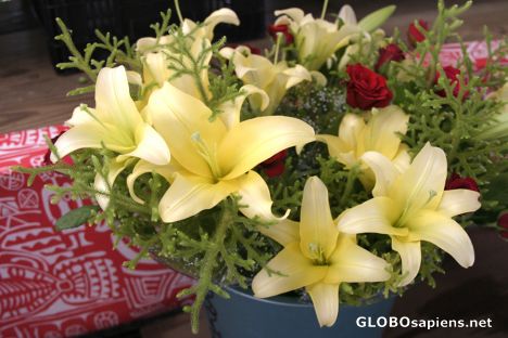 Postcard Tropical flowers - Lilies - Papeete - Tahiti