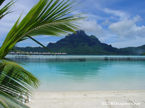 Postcard BORA BORA