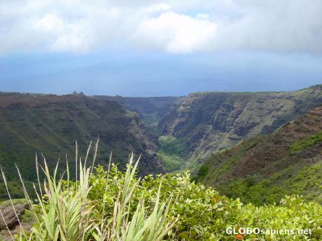 Postcard LES MARQUISES - CANYON DE NUKU HIVA