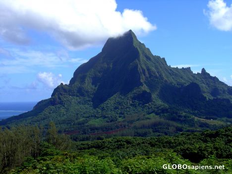 Postcard Moorea - Mont Rotorui