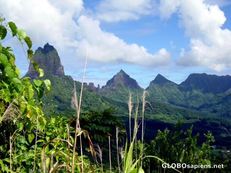 Postcard Moorea - Mont Mouaroa