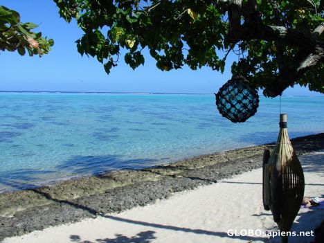 Postcard Moorea - Painapo Beach