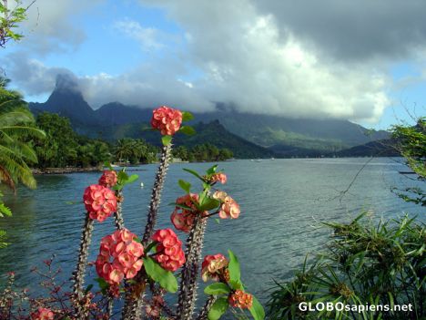 Postcard Moorea - Cook Bay