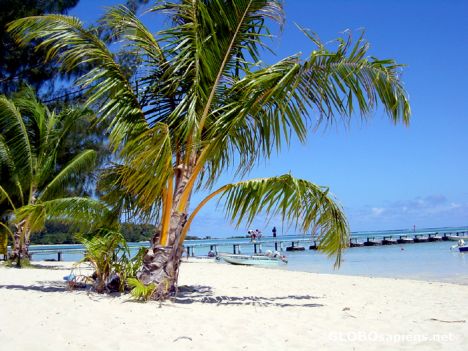 Postcard Moorea - Tipaniers beach