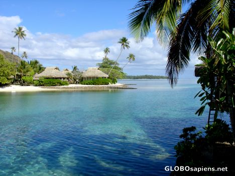 Postcard Moorea - Beachcomber