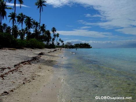 Postcard Moorea - Temae beach