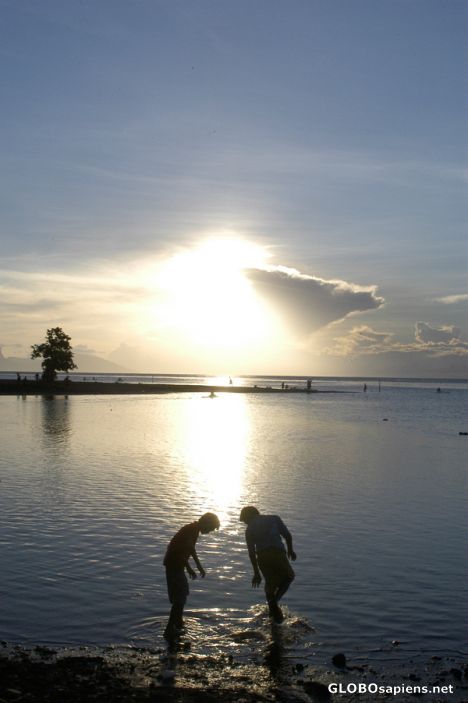 Postcard Pointe Venus