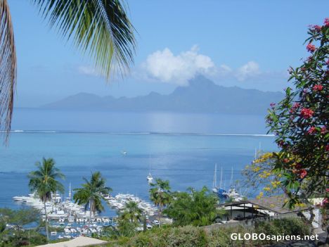 Postcard Papeete - Marina Taina