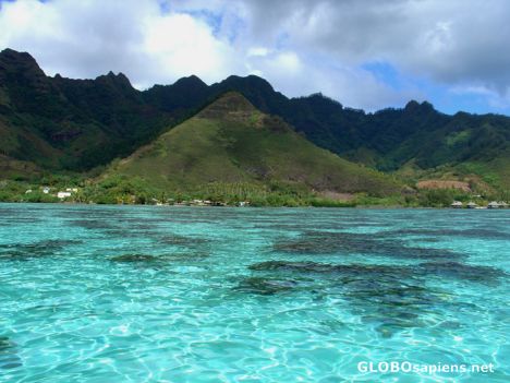 Postcard Moorea -