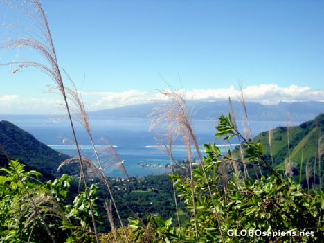 Postcard Moorea - Vaiare bay