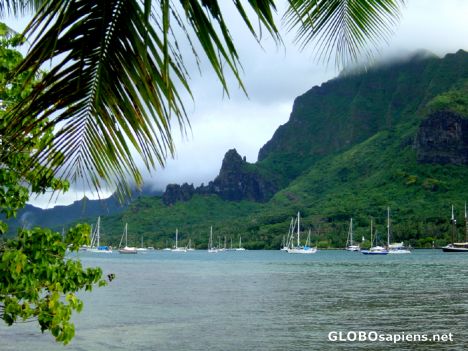 Postcard Moorea - Opunohu bay