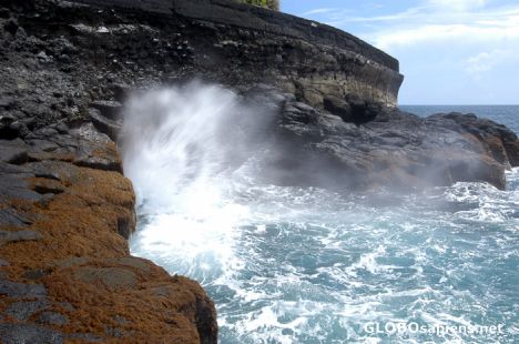 Postcard the blowhole