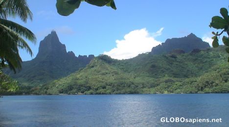Postcard Opunohu Bay landscape