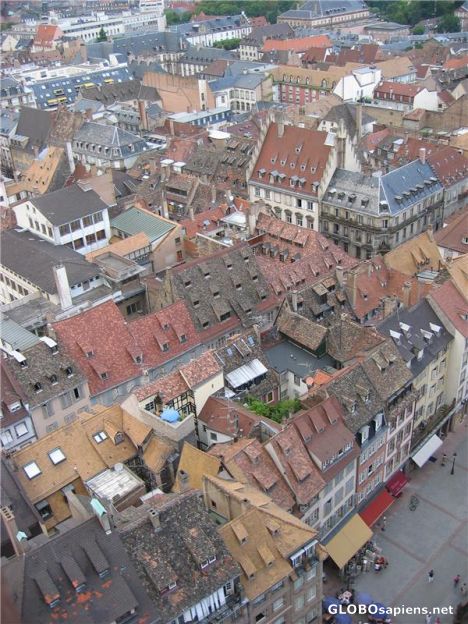 Postcard Bird's Eye View of Old Strasbourg