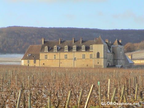 Chateau du clos Vougeot 2