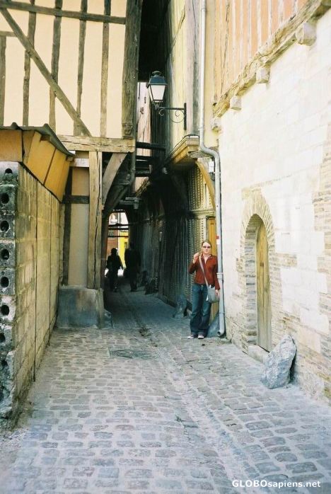 Postcard cats alley,troyes