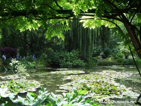 Postcard Giverny