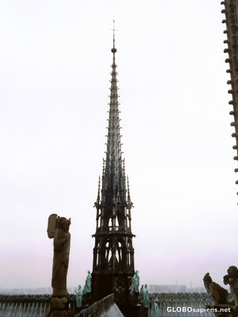 Postcard Notre Dame