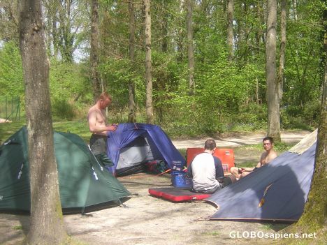 Postcard camping in the forest