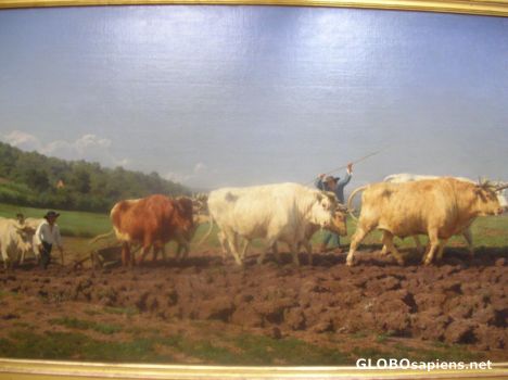 Postcard Orsay Museum 3
