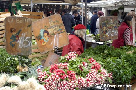Postcard Market