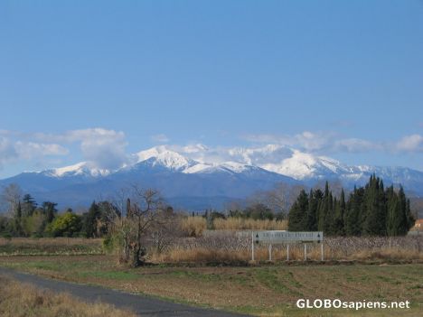 Postcard Canigou