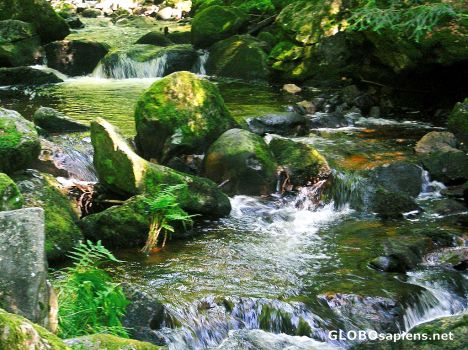 Postcard cascade du Gehard