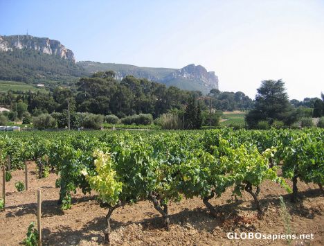 Postcard Cassis