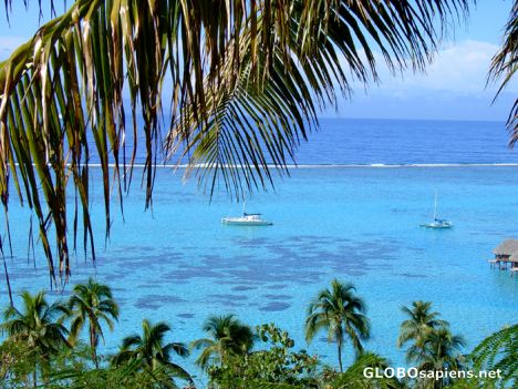 Postcard Moorea - Toatea