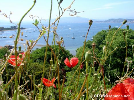 Postcard Fort Sainte Marguerite