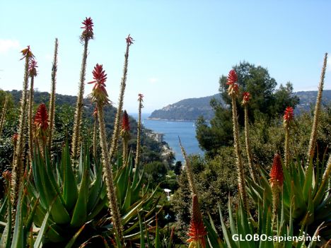 Postcard St Jean Cap Ferrat - Villa Ephrussi