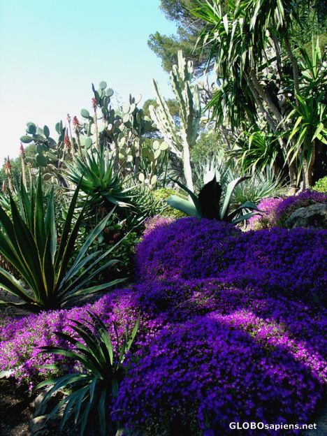 Postcard St Jean Cap Ferrat - Villa Ephrussi