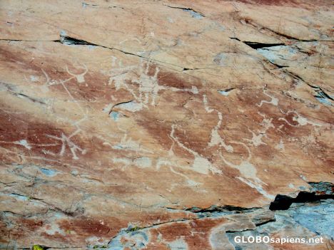 Postcard Prehistoric rock engraving