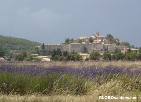 Postcard Town in the lavender county