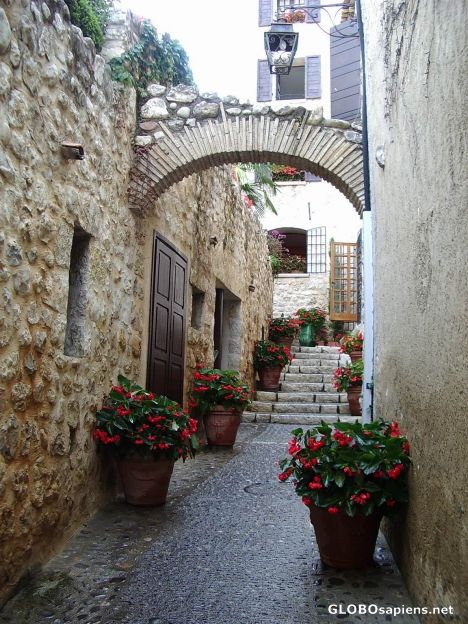 Postcard Flowery alley