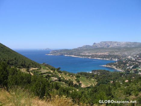 Postcard Cassis