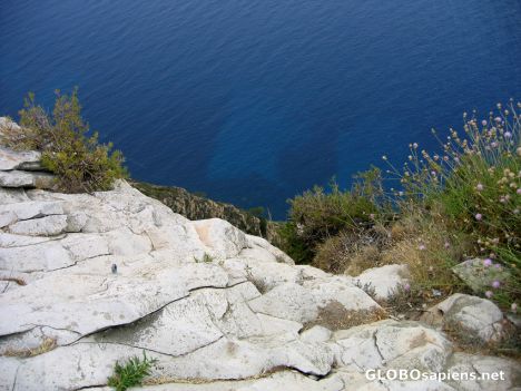 Postcard Cassis