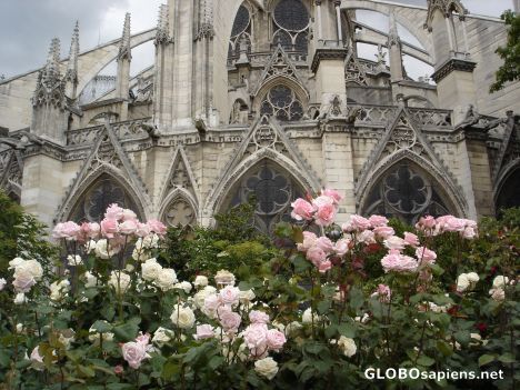 Postcard Notre Dame