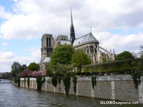 Postcard The rear of Notre Dame