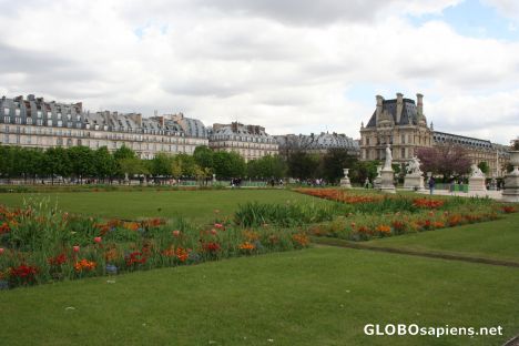 Postcard Tuileries Garden