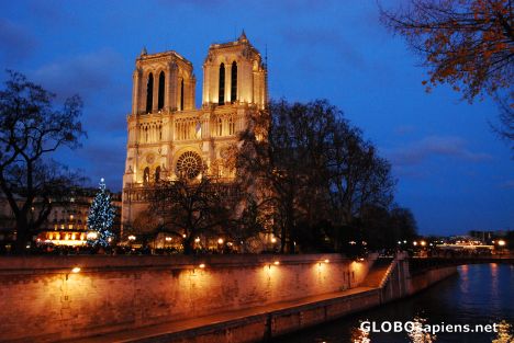 Postcard Notre Dame de Paris during night