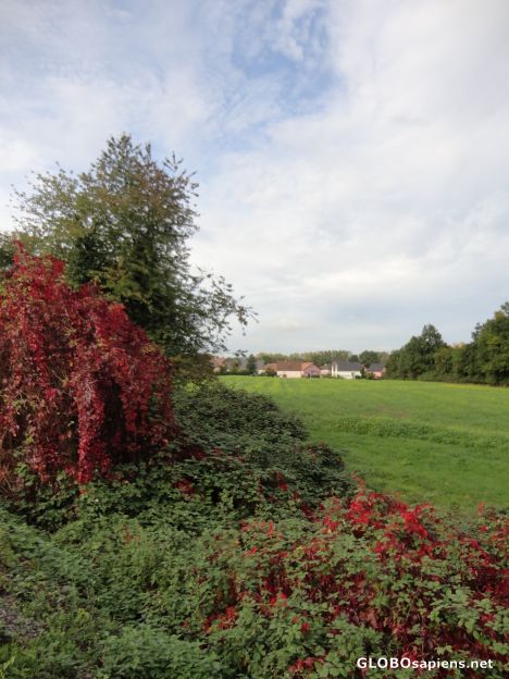 Postcard Neuweg