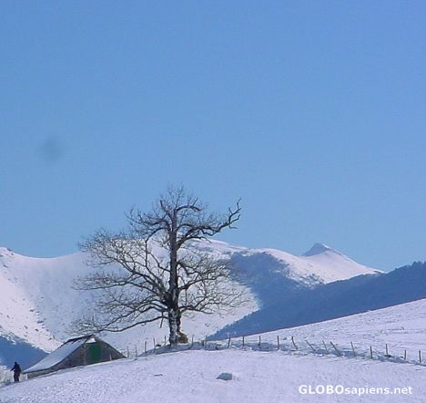 Postcard plateau de benou