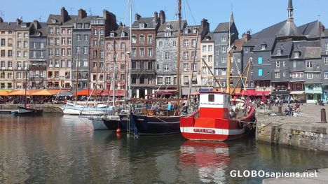Postcard Old port Honfleur
