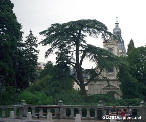 Postcard Blois 2